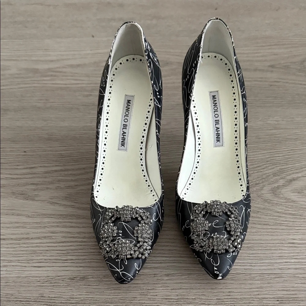 Manolo Blahnik Decade of Love Hangisi Pumps - Picture 2 of 8